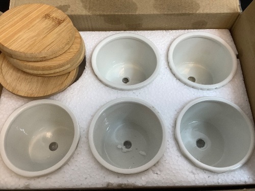 Set of 6 Succulent Pots - Lot 372