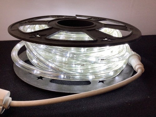 50ft LED Rope Light - Lot 583