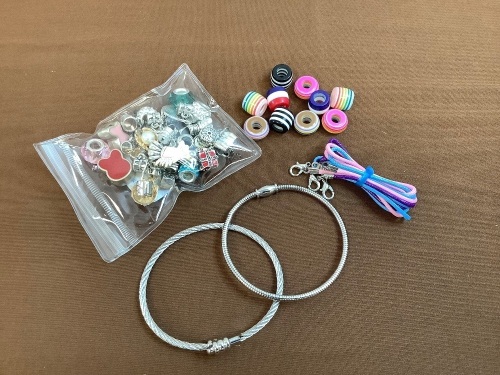 Charm Bracelet Kit - Lot 210