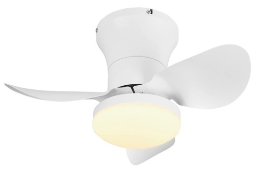 21'' Small Modern Ceiling Fan - Lot 317