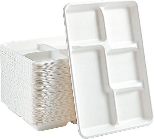 Vplus 100% Compostable 5 Compartment Plates, 100 Pack - Lot 100