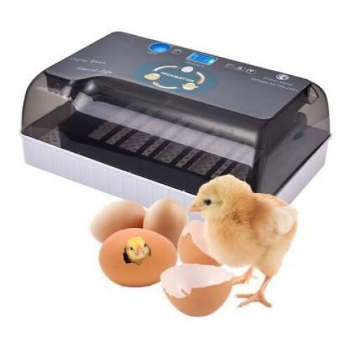 12 Egg Automatic Digital Incubator  - Lot 531