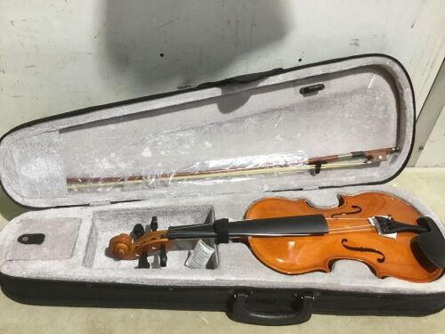 Vionlin with Case  - Lot 271
