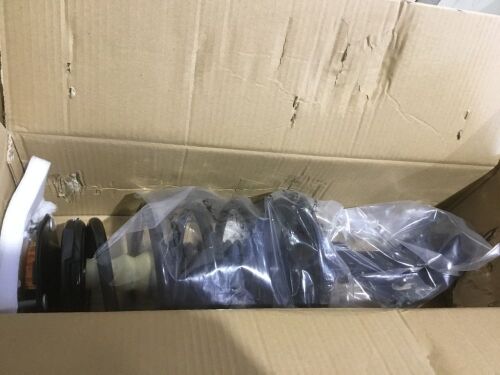 Complete Strut Assembly, Unknown Fit  - Lot 125