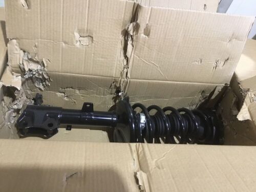 Pair of Strut Assemblies  - Lot 170
