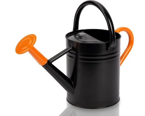 Cesun 1 Gallon Metal Watering Can - Lot 325