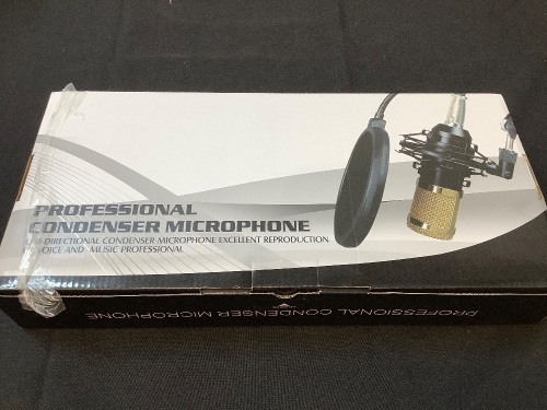 Professional Condenser Microphone - Lot 11