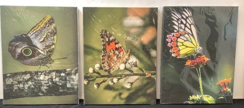 Set of 3 Butterfly Wall Art Canvases, 12x16 - Lot 273