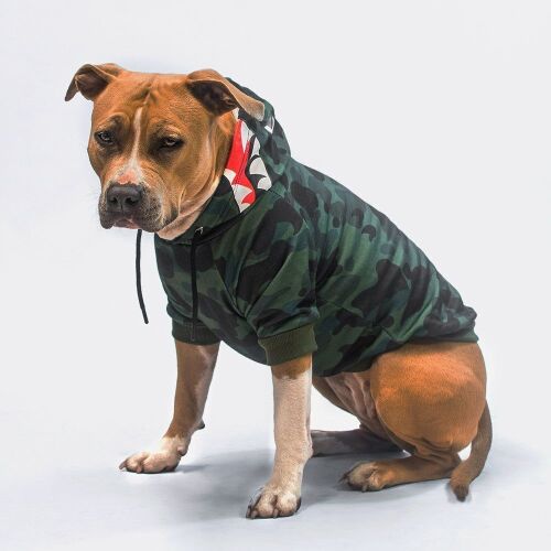 Spark Paws Shark Monster Dog Hoodie, 3XL  - Lot 802
