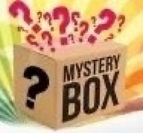 ADULT Mystery Box - Lot 669