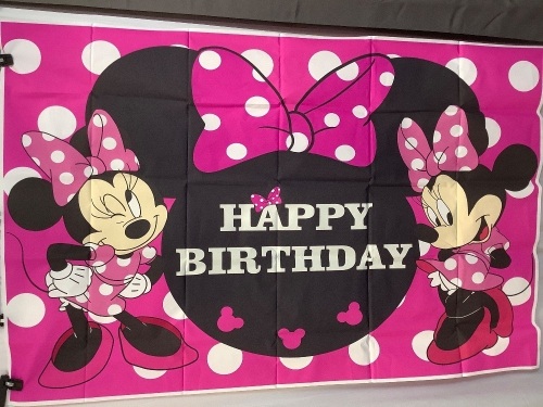 3'x5' Happy Birthday Banner, Minnie Mouse - Lot 304