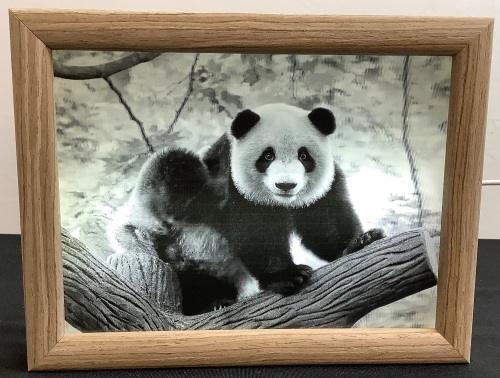 Naked Eye 3D Photo Frame (Panda) - Lot 402