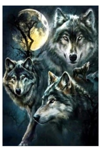 Lot of (2) 5D Wolf Diamond Painting Kits - Lot 264