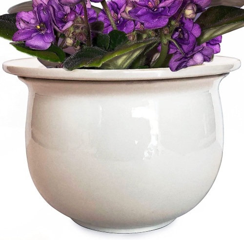 African Violet 6" Ceramic Self Watering Planter for Indoor Flowers and Plants - Lot 159