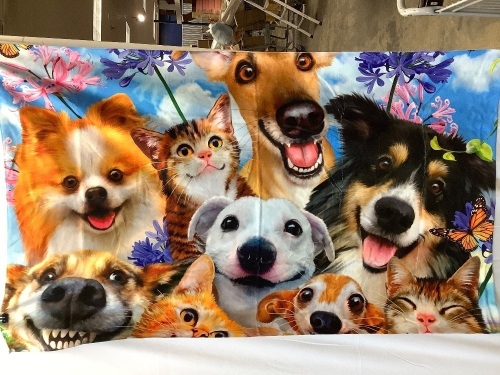 Furry Friends Beach Towel - Lot 233