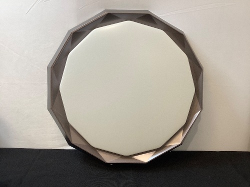 TOLANTOO Led Ceiling Light - Lot 72