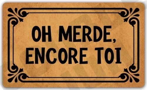 Oh Merde Encore TOI Indoor/Front Door Mat - Lot 121