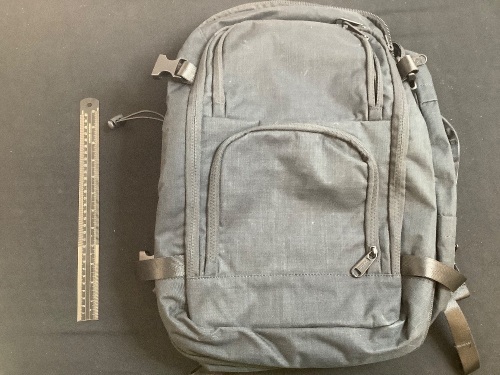 Dinictis Backpack - Lot 174