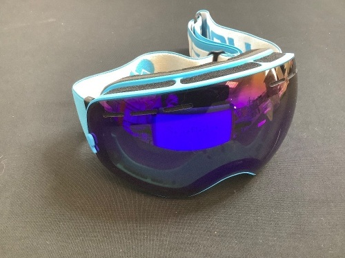 Hongdak Ski Goggles - Lot 273