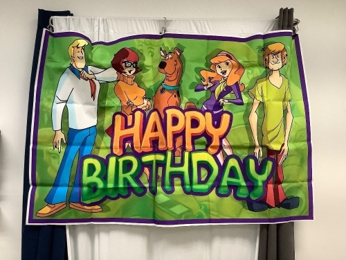 Scooby Doo Birthday Party Backdrop 5'x3' - Lot 188