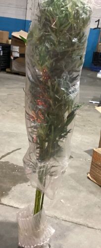 Artificial Tree, Approx 5.5' Tall  - Lot 307