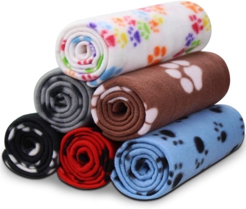 Cat Bundle - Lot 21