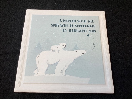 Framed Quote with Polar Bear Picture - Lot 295