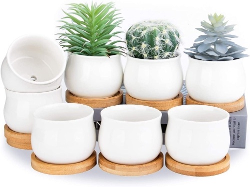 Set of (11) Succulent Ceramic Plant Pot, 2.6", White, 12-1 Missing One Pot - Lot 646