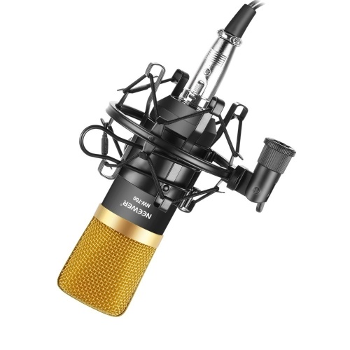 Neewer NW-700 Professional Studio Broadcasting & Recording Condensor Microphone Set, Black/Gold - Appears New  - Lot 286