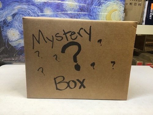 Mystery Box of Miscellaneous Items - Large Box - Lot 429