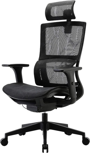 XUER Ergonomic Office Chair with Cozy Lumbar Support and Adjustable 3D Armrest - New - Lot 762