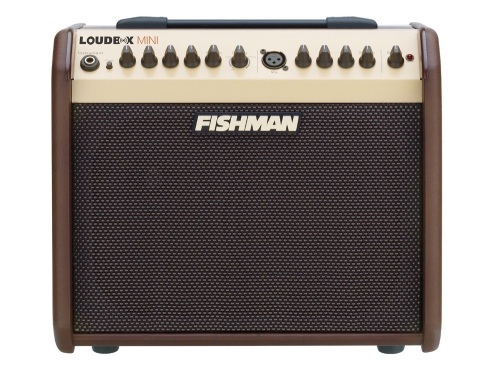 Fishman Loudbox Mini Acoustic Amp with Bluetooth - E-Comm Return, Appears New  - Lot 67