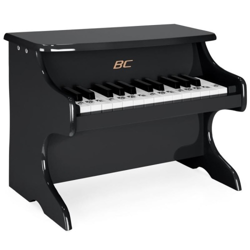 Kids 25-Key Wooden Learn-to-Play Mini Piano w/ Key Note Stickers, Music Book - Appears New  - Lot 670
