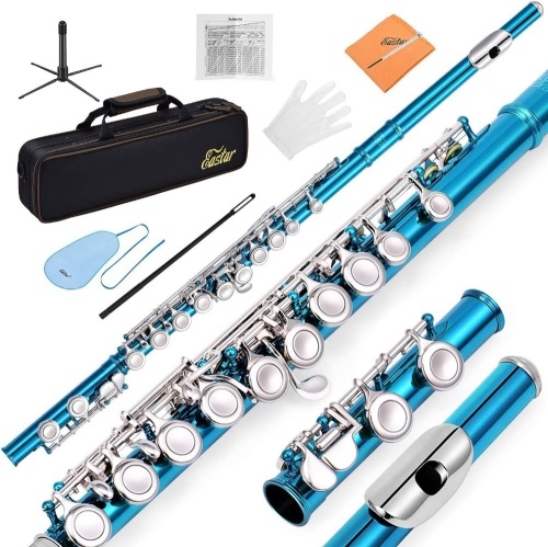 Eastar C Flutes Closed Hole 16 Keys Flute for Beginner Kids Student Flute Instrument with Fingering Chart, Cleaning Kit, Stand, Carrying Case, Gloves, Tuning Rod, Sky Blue, EFL-1SB - Lot 9058
