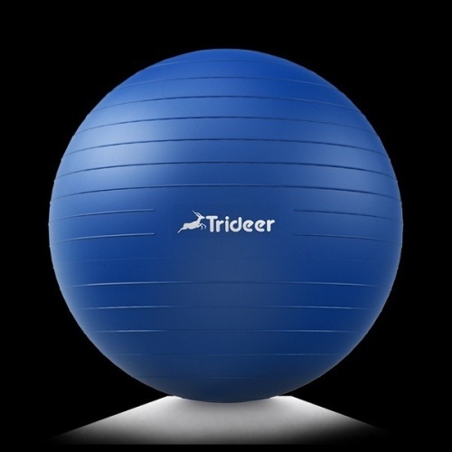 Trideer Exercise Ball, Extra Thick Anti Burst Yoga Ball, Blue, 23-26" - Lot 216