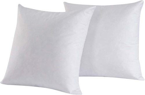 Set of (2) Down and Feather Pillow Inserts, 22"x22" - Lot 460
