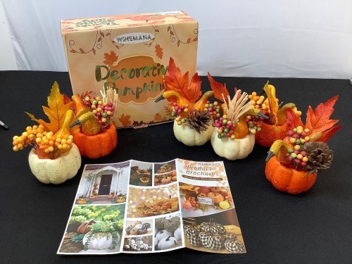 Decorative Pumpkins - Lot 502