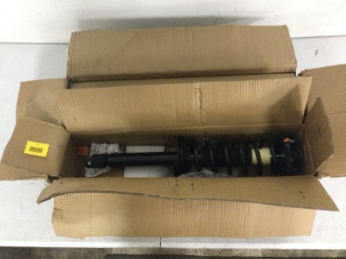 2008-2012 Honda Accord Rear Struts & Springs (Set of 2) - Lot 9600