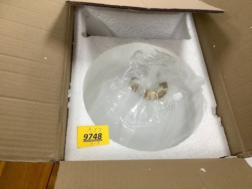 Globe Ceiling Light (10 inch) - Lot 9748