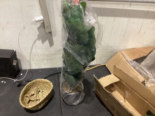 Artificial Ficus Plant with Woven Basket  - Lot 662