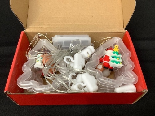 LED Christmas Lights - Lot 333