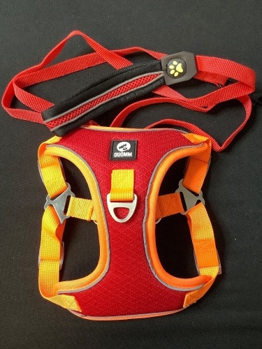 Small Dog Harness w/ 50" Leash - Lot 404