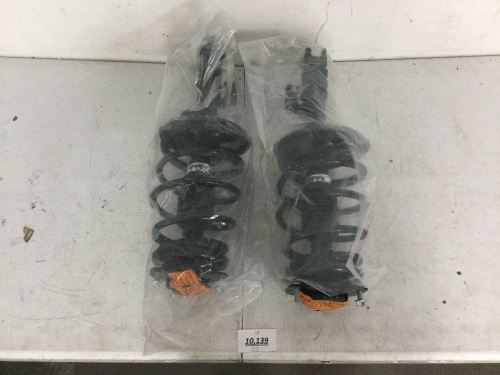 Complete Strut Assembly Set - Lot 10139