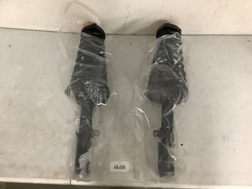 Strut Assembly - Lot 10156