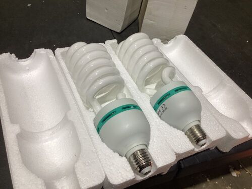 95W 5500K Photography Daylight Balanced Bulb for Soft Box Lighting - Lot 983