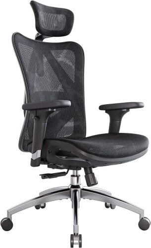 SIHOO Ergonomic Mesh Office Chair - Lot 364