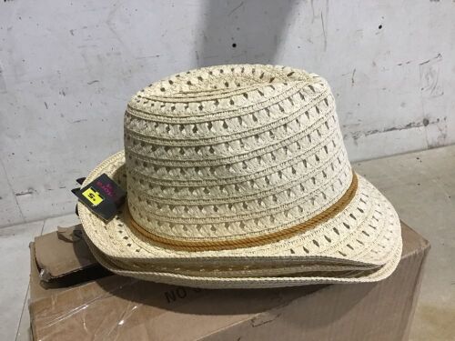 Lot of (3) Fedora Hats  - Lot 419