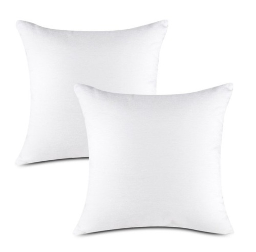 Emolli Throw Pillow Inserts, 2 Pack, 24 x 24 - Lot 371