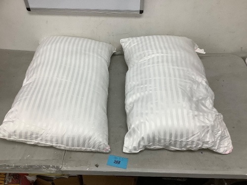Eive Set of 2 Pillows - Lot 568