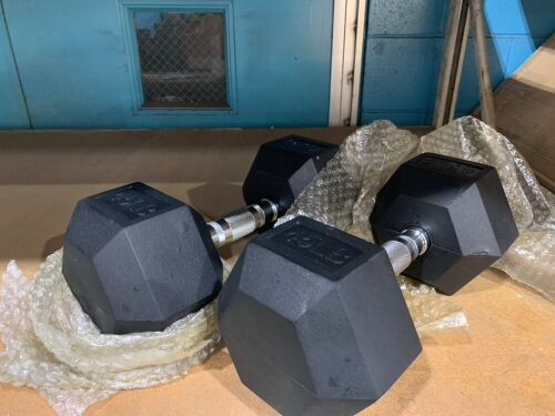 Set of 45 lb Dumbbells   - Lot 94